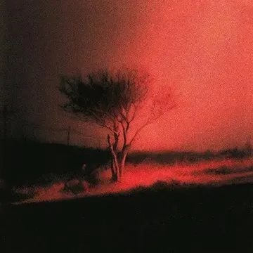 Joji